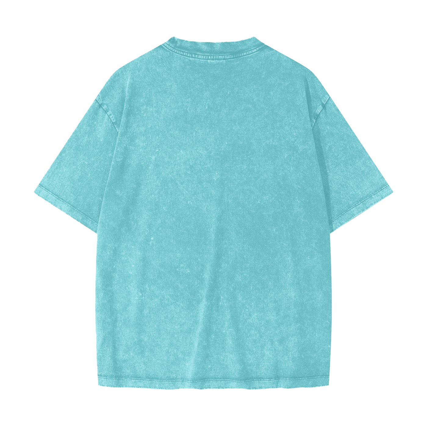 Heavyweight Snow Washed T-Shirt