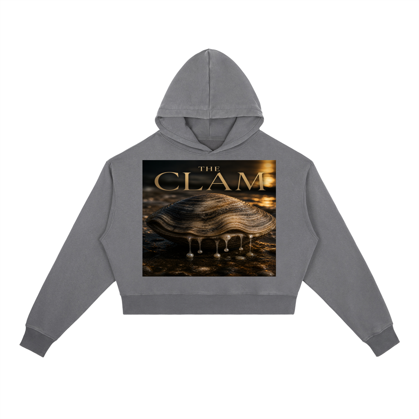 Vintage Washed Heavyweight Hoodie