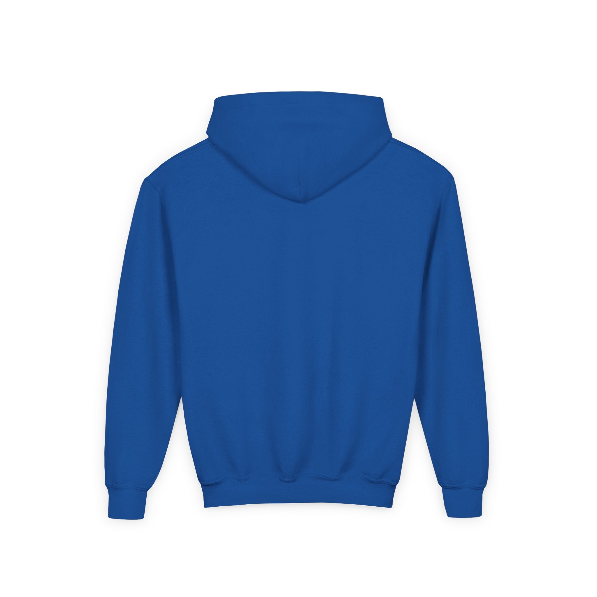 Youth Hoodie — Vibe Sweatshirt