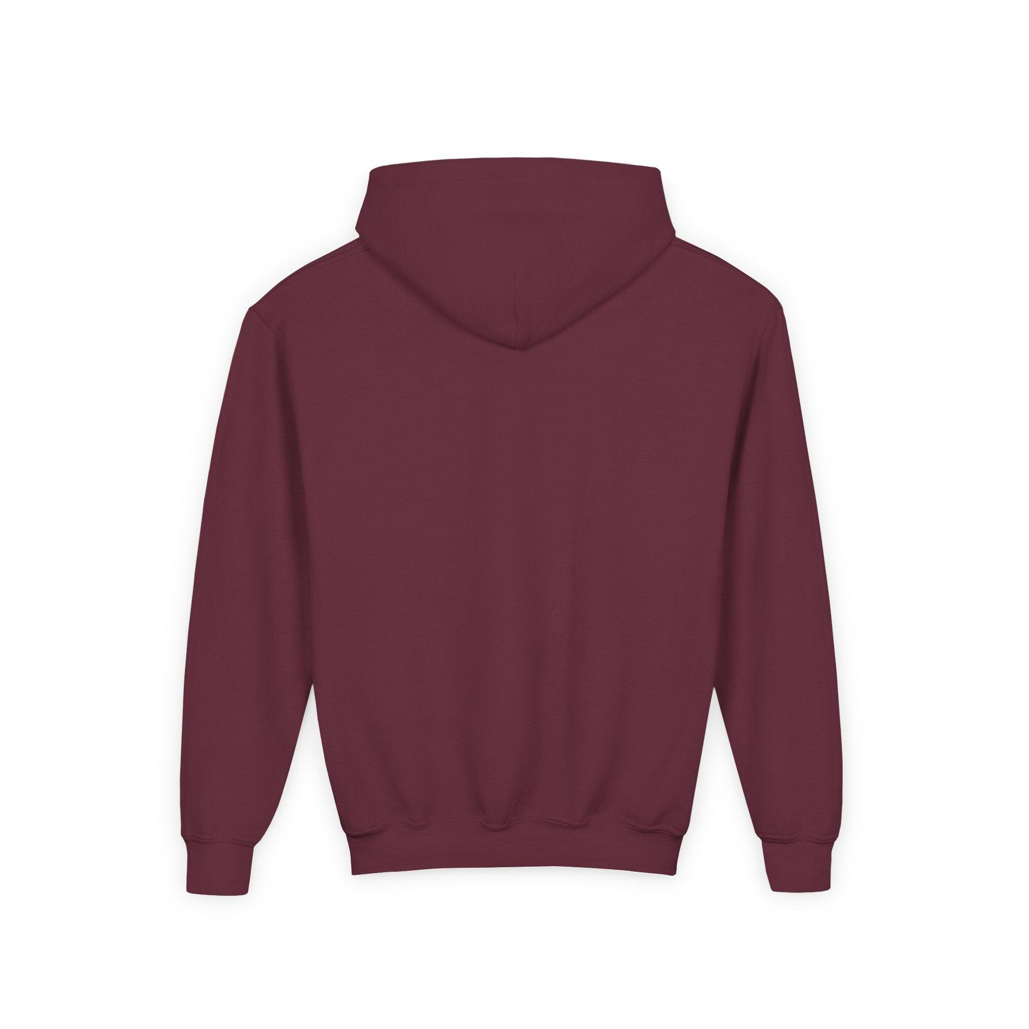 Youth Hoodie — Vibe Sweatshirt