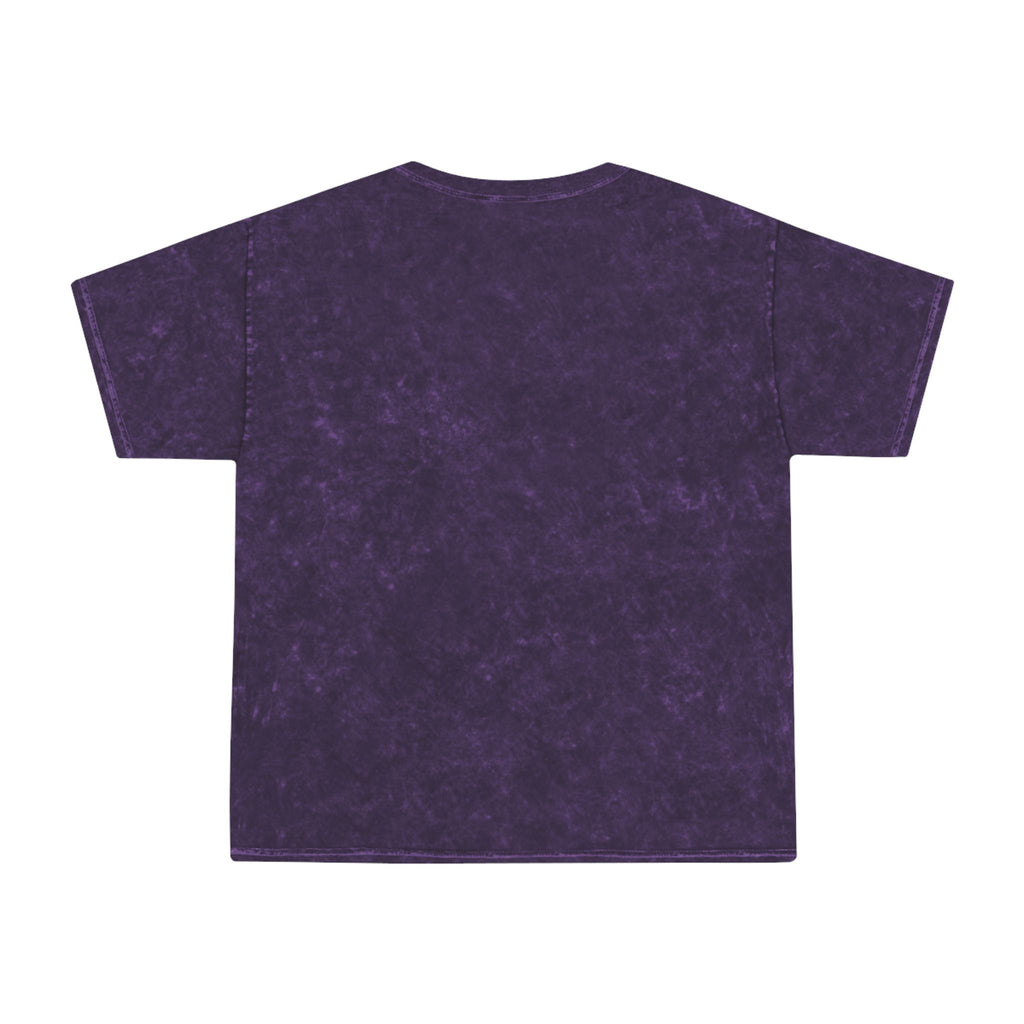 Zodiac Wheel Graphic T-Shirt — Astrological Signs Mineral Wash Tee