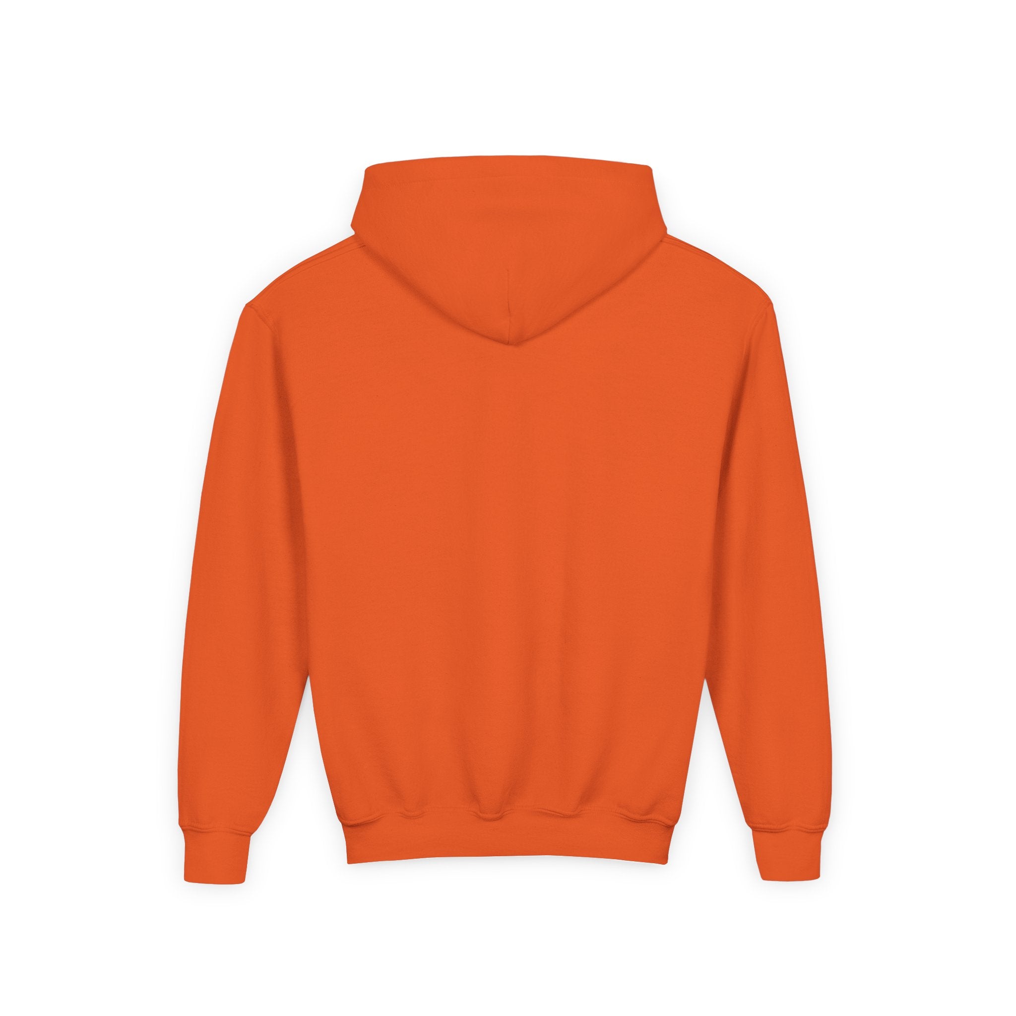 Youth Hoodie — Vibe Sweatshirt