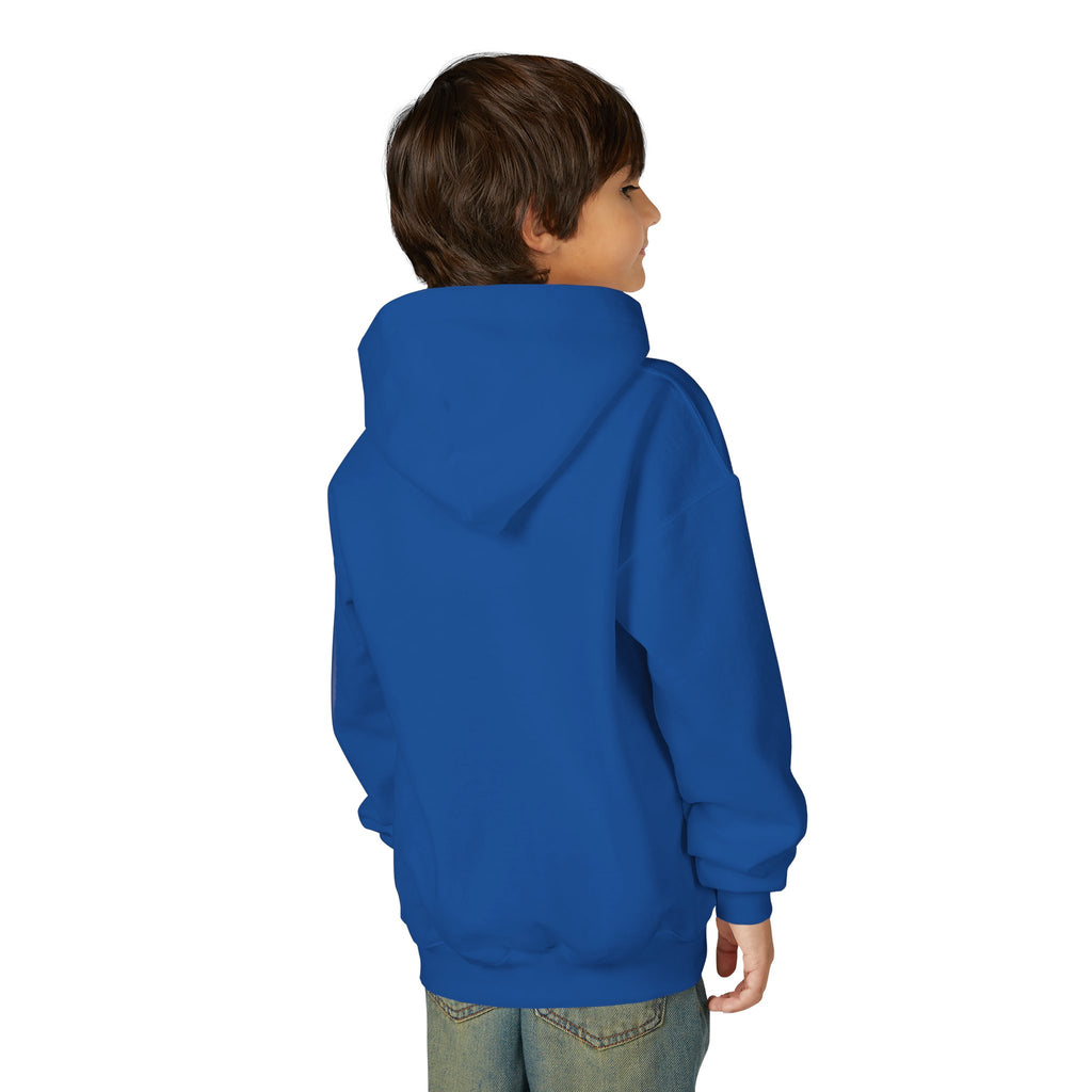 Youth Hoodie — Vibe Sweatshirt
