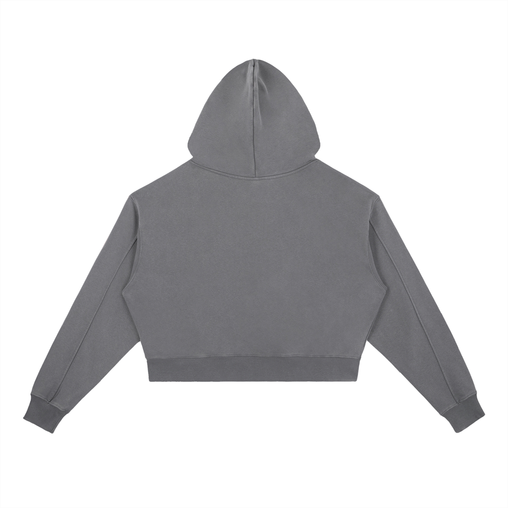 Sweat à Capuche Lourd Lavé Vintage