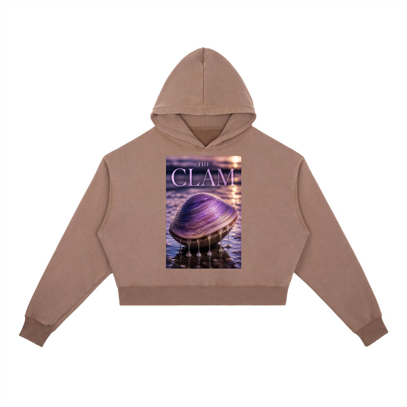 Vintage Washed Heavyweight Hoodie