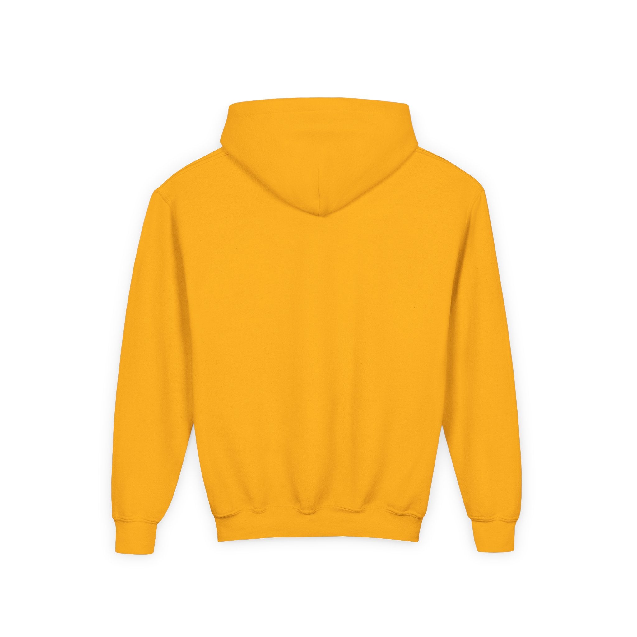 Youth Hoodie — Vibe Sweatshirt