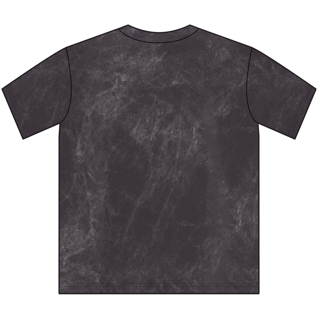 Crazy as a Road Lizard Vintage Tee