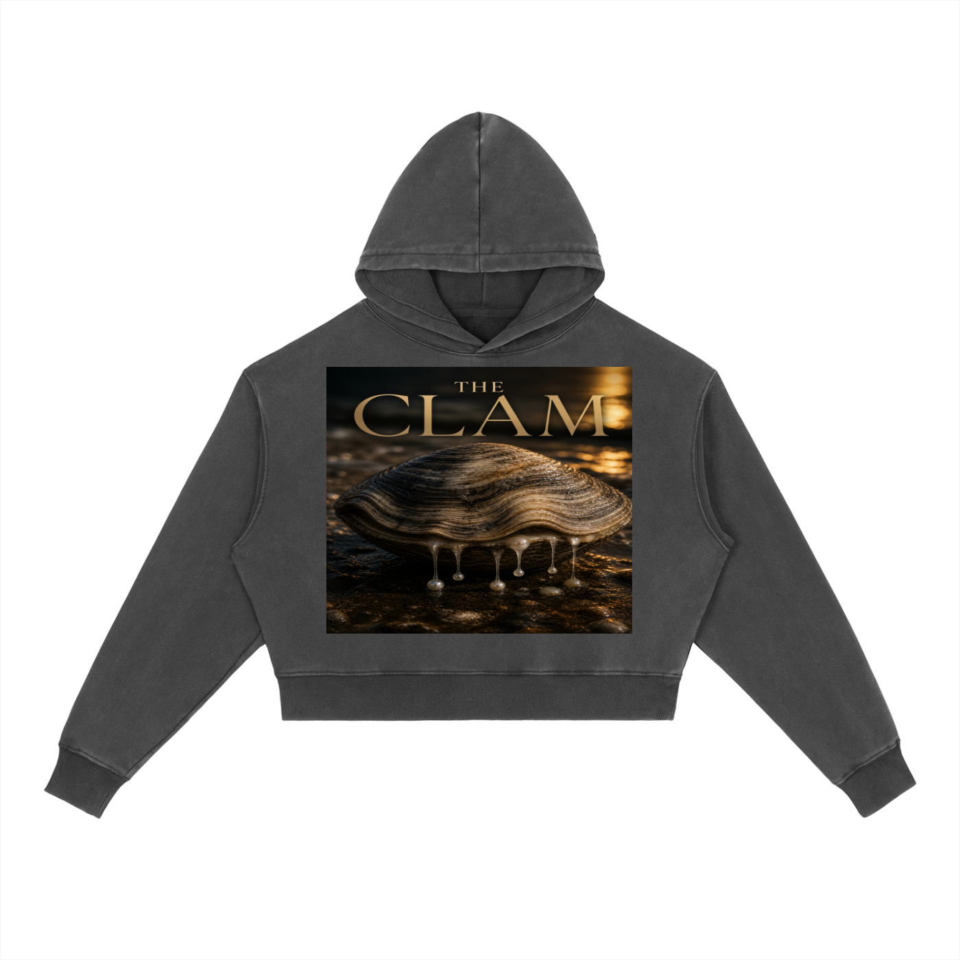 Vintage Washed Heavyweight Hoodie