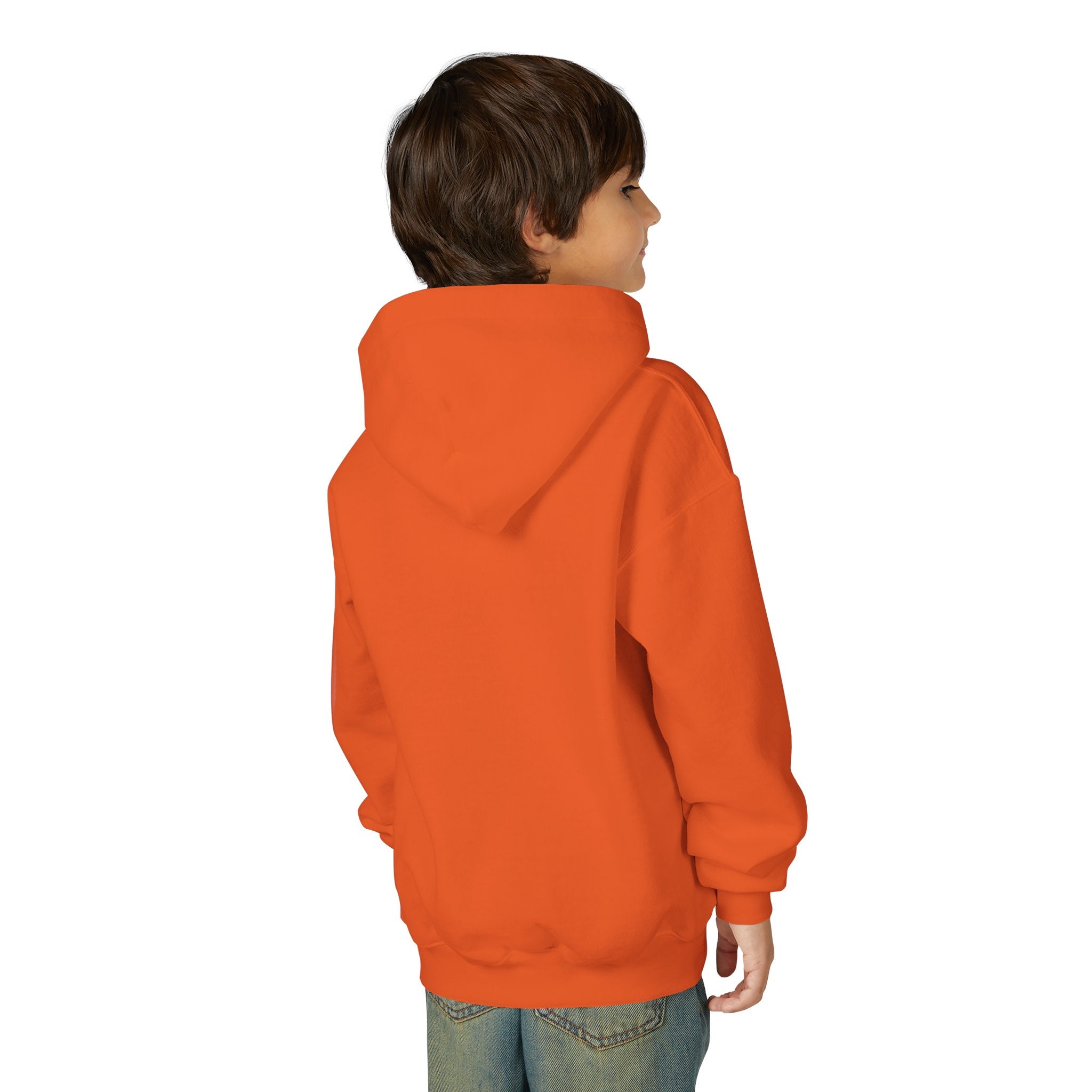 Youth Hoodie — Vibe Sweatshirt