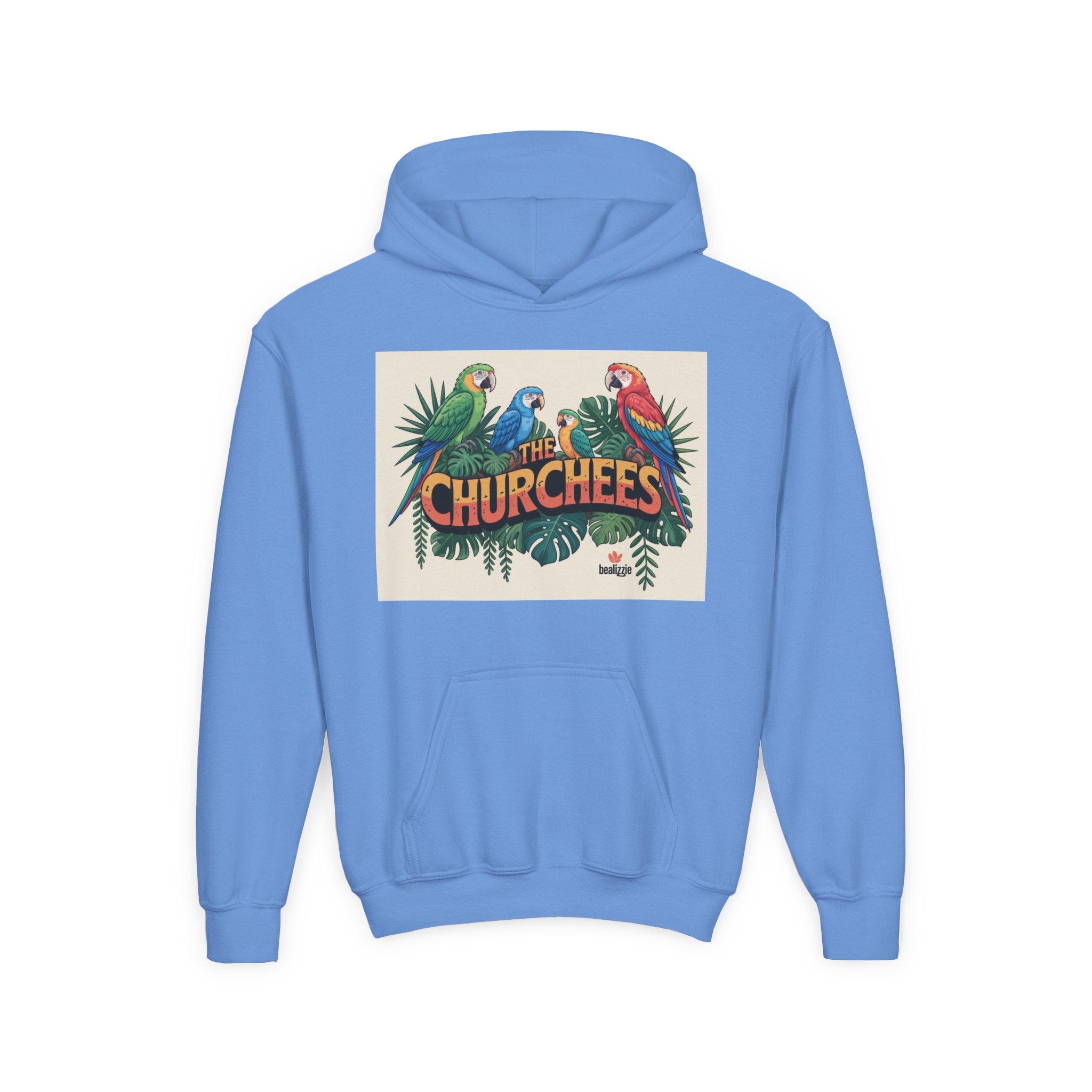 Youth Hoodie — Vibe Sweatshirt