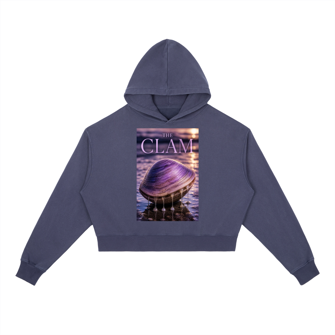 Vintage Washed Heavyweight Hoodie