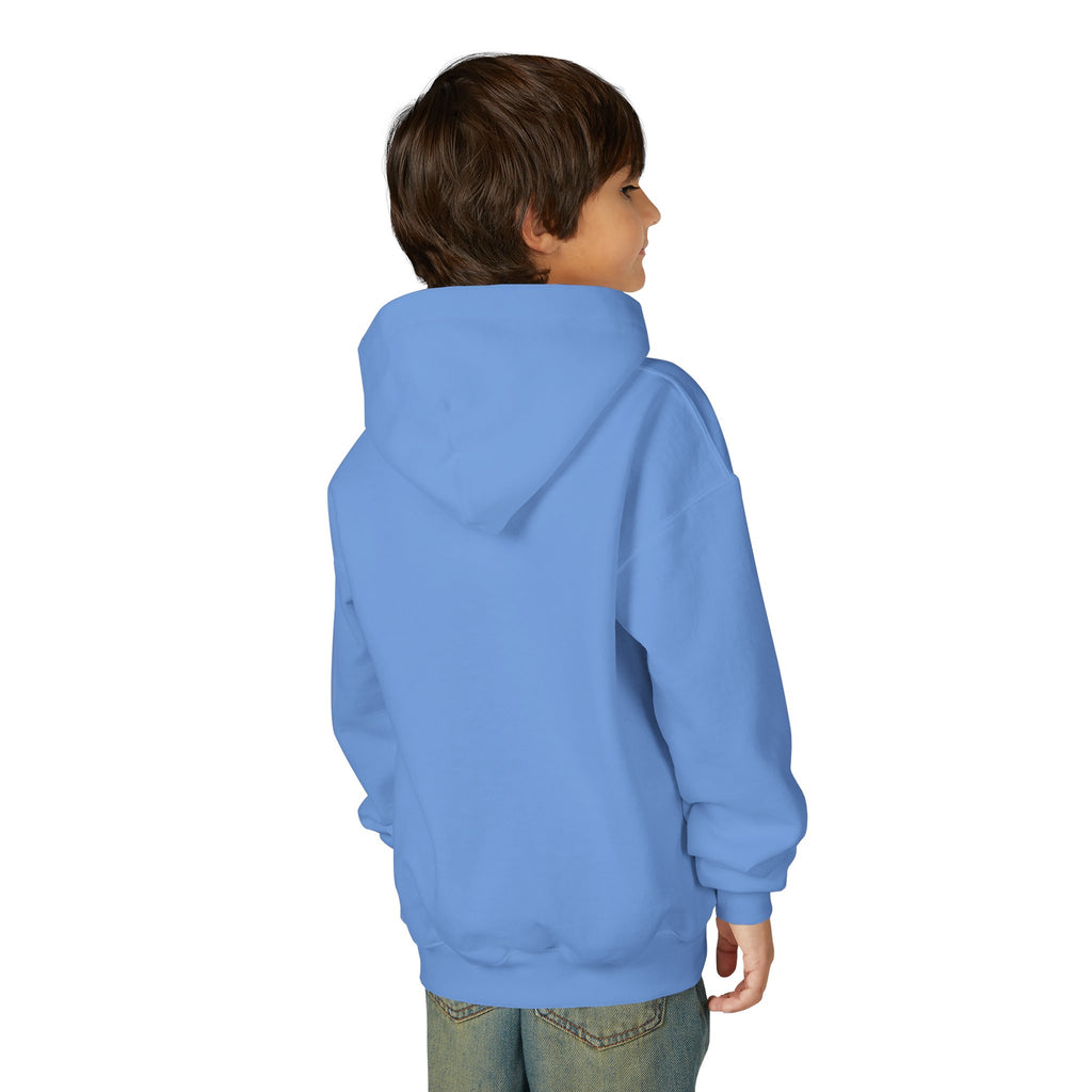 Youth Hoodie — Vibe Sweatshirt