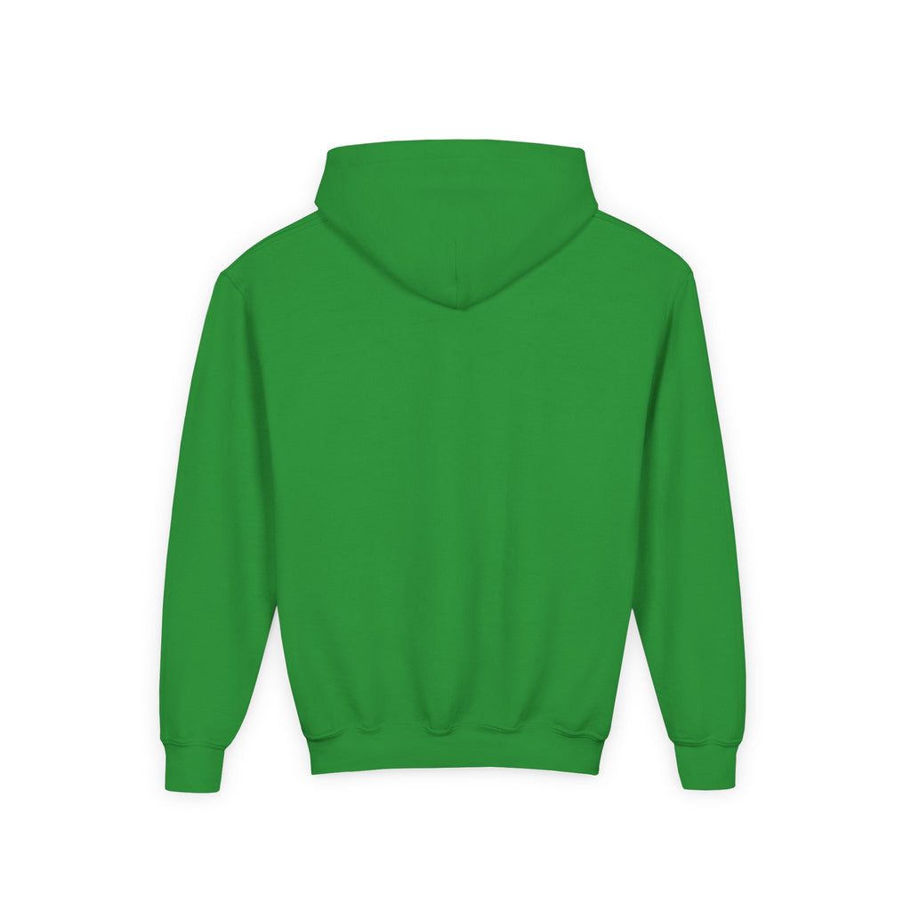 Youth Hoodie — Vibe Sweatshirt
