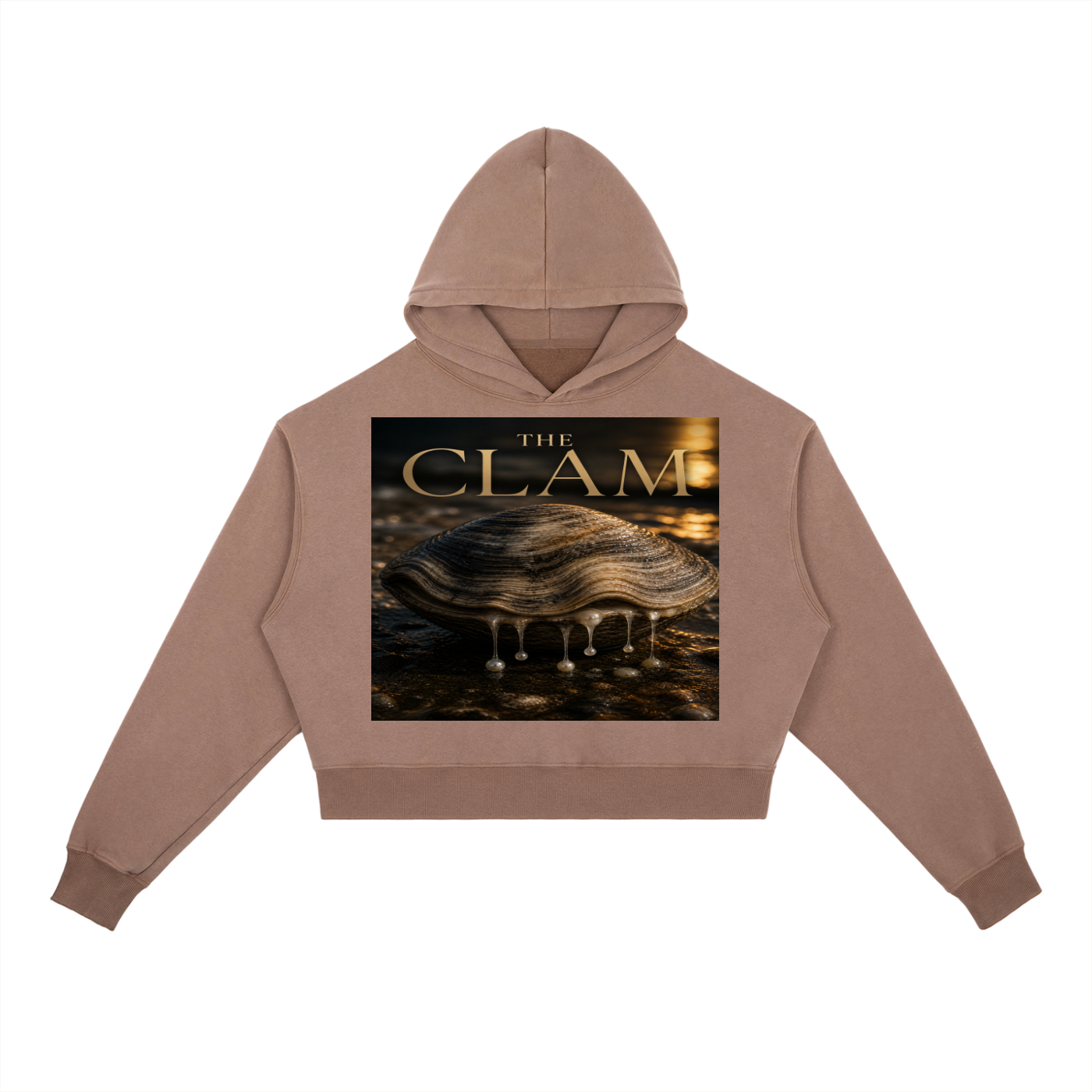 Vintage Washed Heavyweight Hoodie