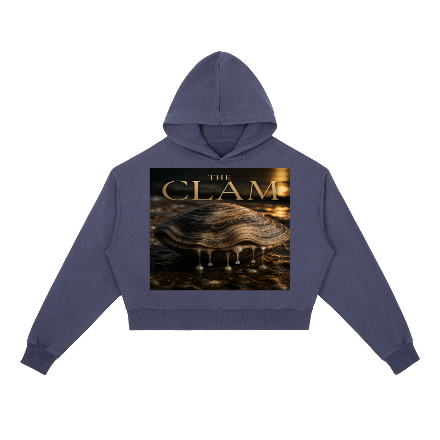 Vintage Washed Heavyweight Hoodie