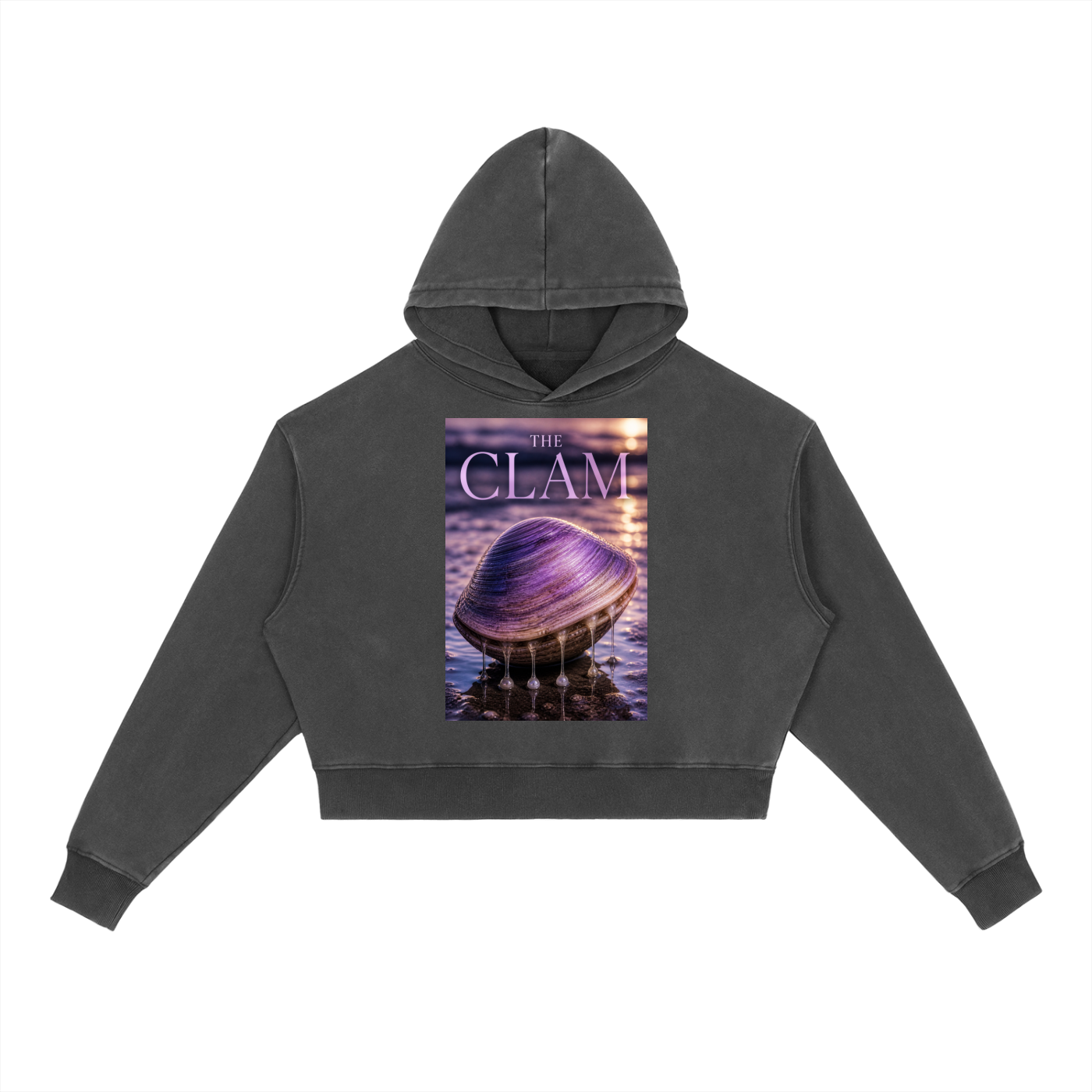 Vintage Washed Heavyweight Hoodie