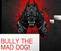 Kindle: 2026 Bully the Mad Dog! Harassment/Coercion/Intimidation/Tyrannizing/Cyber
